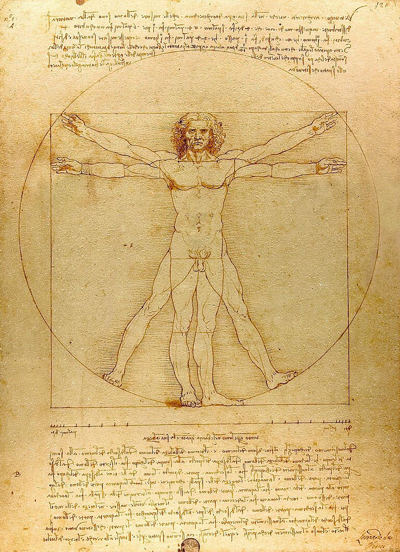 The Vitruvian man